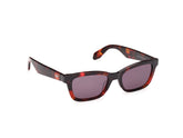OR0117 |